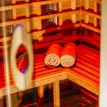 Sauna Privada Prive Sauna 情趣酒店 鹿特丹